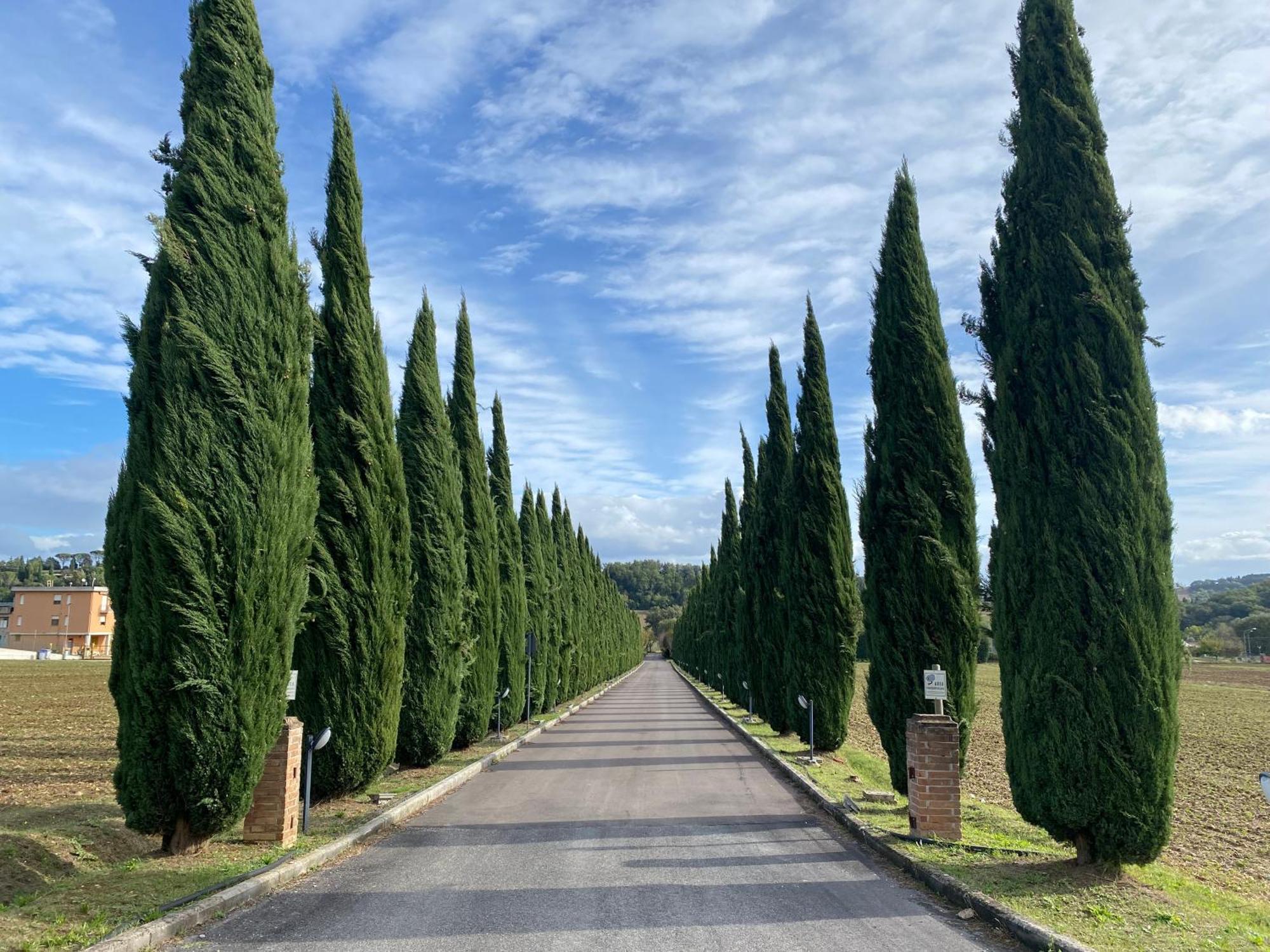 La Locanda Dei Golosi Bosco  Exteriör bild